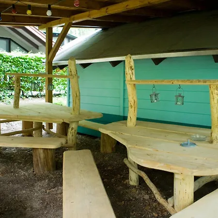 Waldidylle - An Der Talsperre Kriebstein