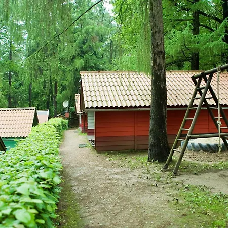 Waldidylle - An Der Talsperre *