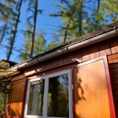 Waldidylle - An Der Talsperre *