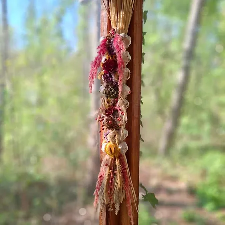 Waldidylle - An Der Talsperre Kriebstein