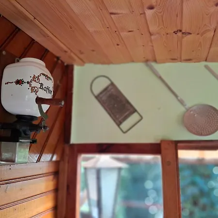 Waldidylle - An Der Talsperre *