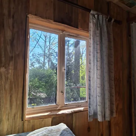 Waldidylle - An Der Talsperre Kriebstein