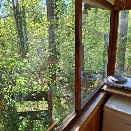 Waldidylle - An Der Talsperre *