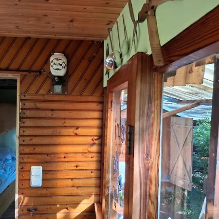 Waldidylle - An Der Talsperre Kriebstein