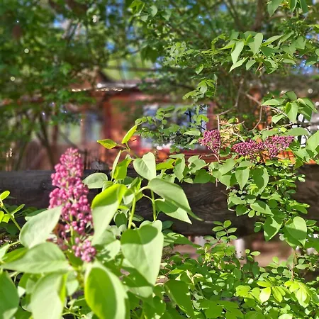 Waldidylle - An Der Talsperre * Kriebstein