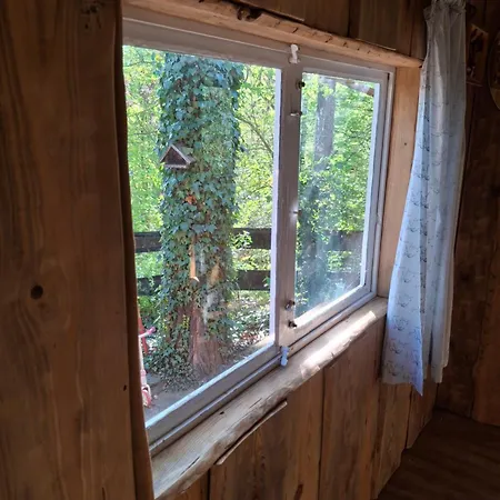 Waldidylle - An Der Talsperre