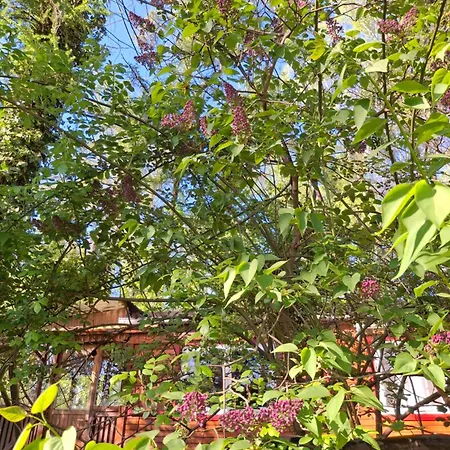 Сasa de vacaciones Waldidylle - An Der Talsperre Kriebstein