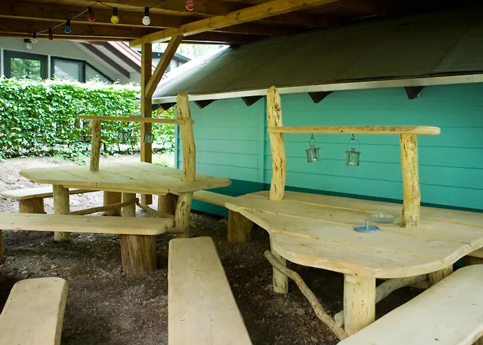 Waldidylle - An Der Talsperre Kriebstein