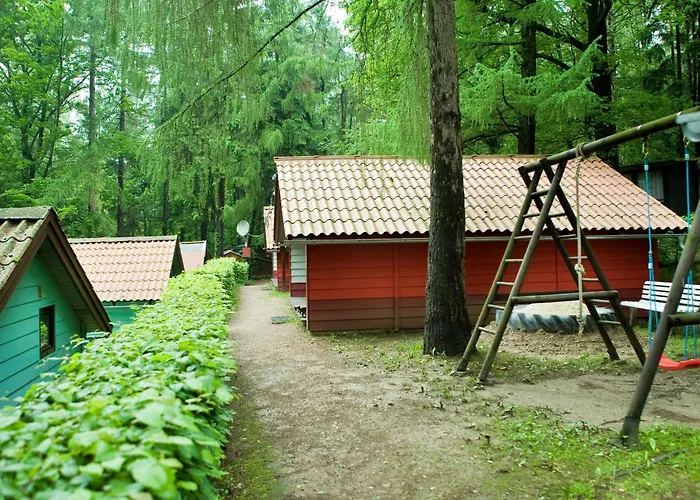 Waldidylle - An Der Talsperre *