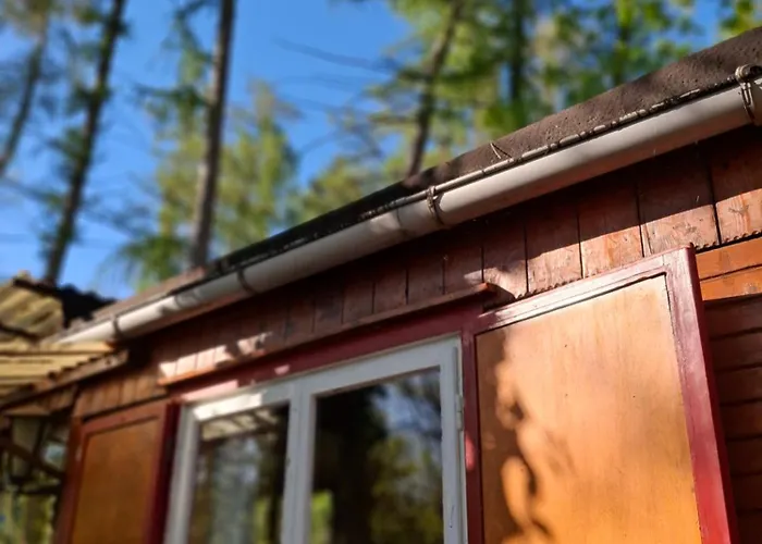 Waldidylle - An Der Talsperre *