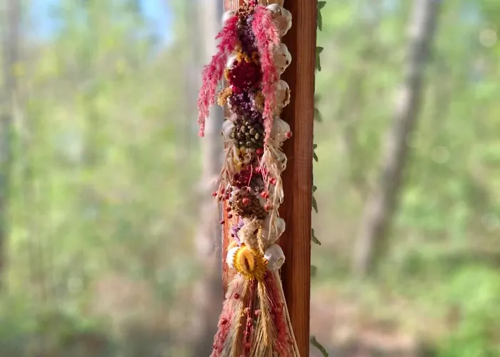 Waldidylle - An Der Talsperre Kriebstein