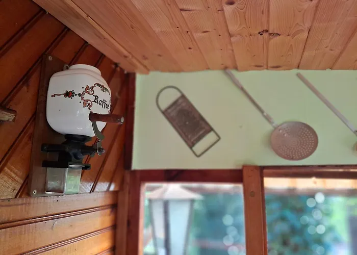 Waldidylle - An Der Talsperre *