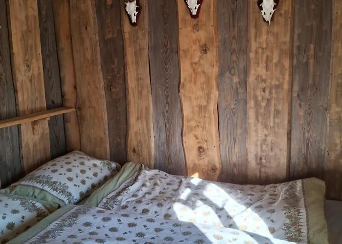 Waldidylle - An Der Talsperre Holiday home *