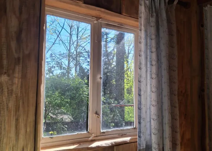 Waldidylle - An Der Talsperre Kriebstein