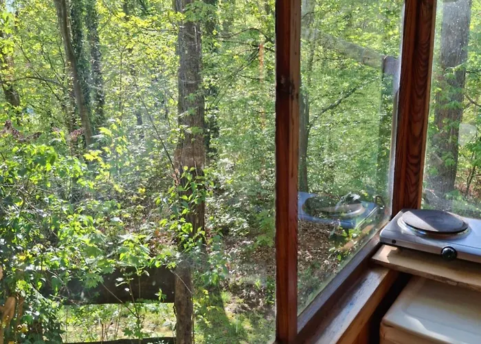 Waldidylle - An Der Talsperre *