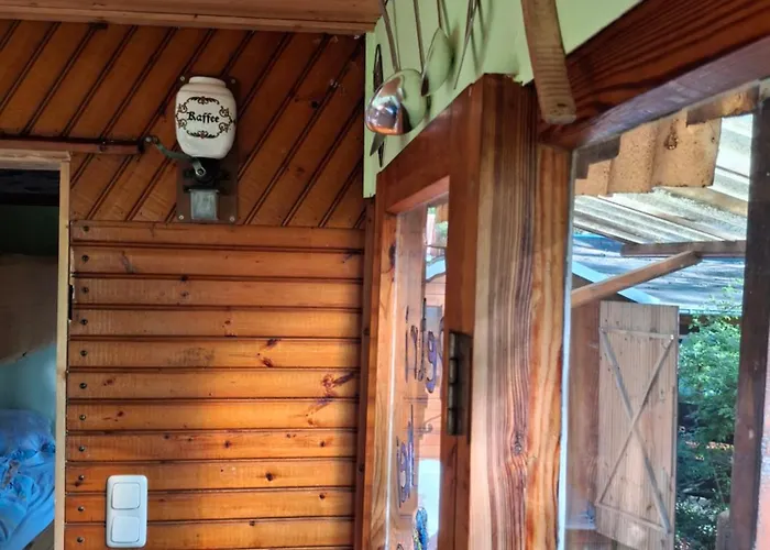 Waldidylle - An Der Talsperre Kriebstein