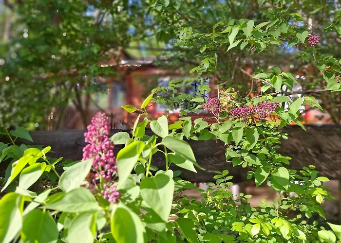 Waldidylle - An Der Talsperre * Kriebstein