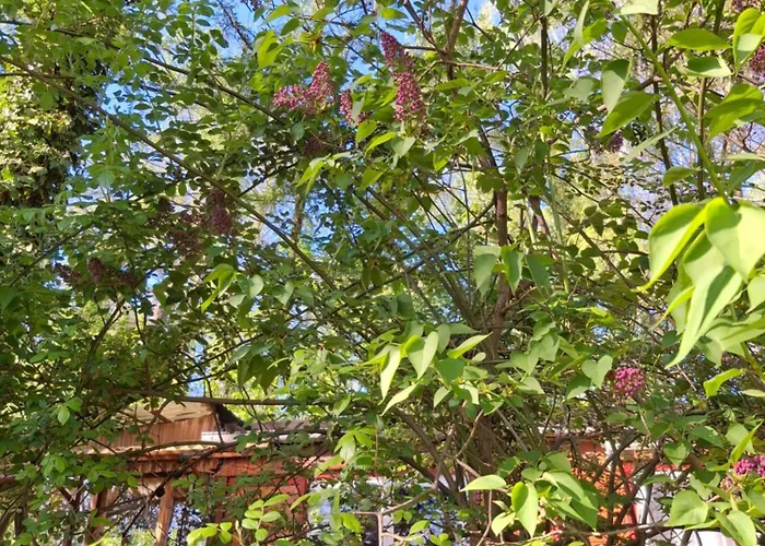 Holiday home Waldidylle - An Der Talsperre Kriebstein